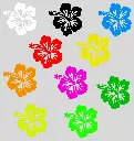 Couleur sticker floral.webp