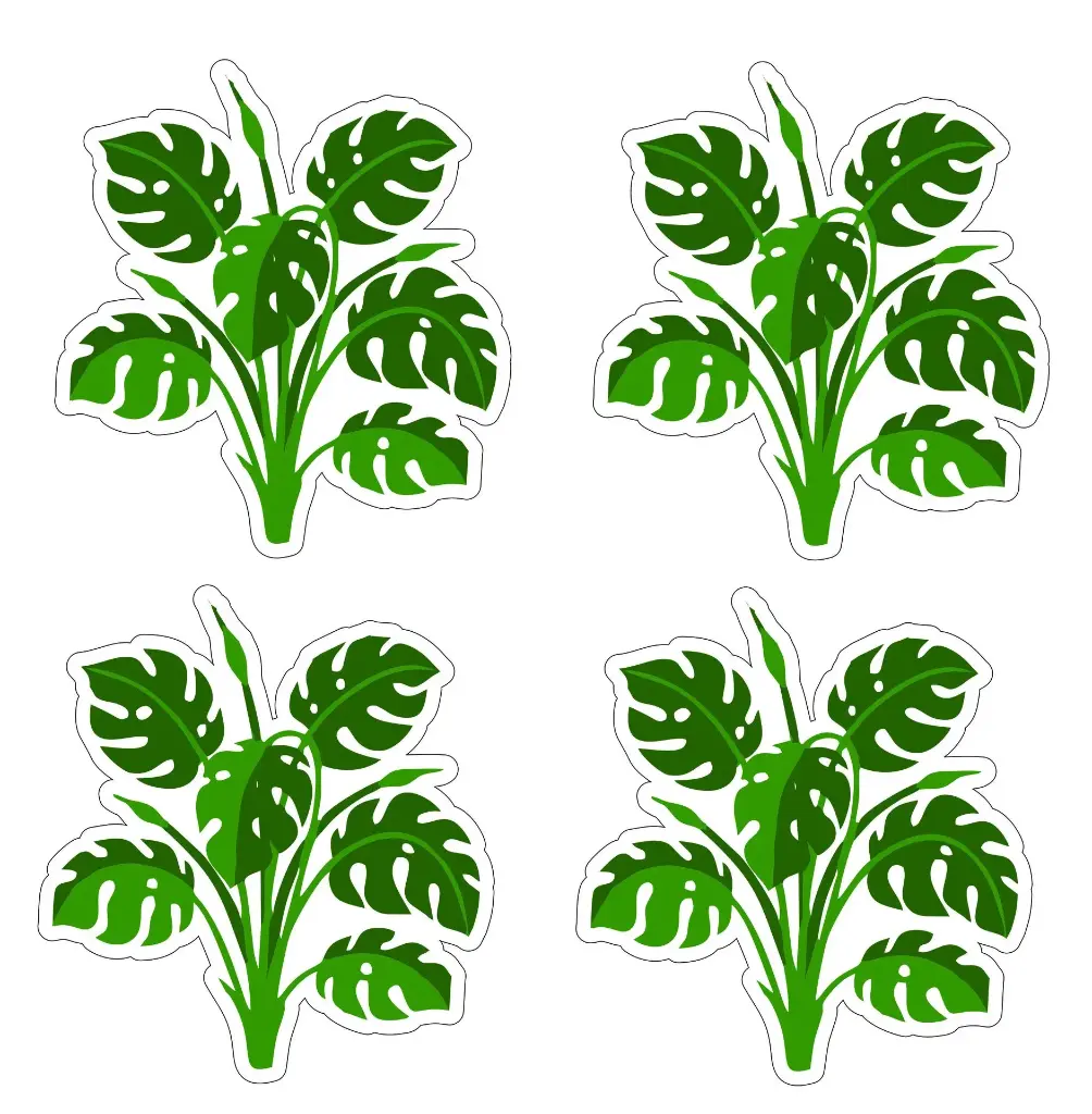 Stickers plante tropical Monstera