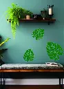 Sticker Autocollant Feuille Monstera