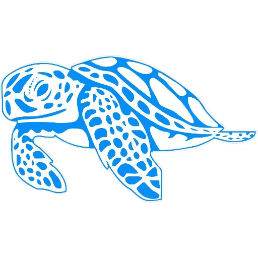 Sticker Tortue